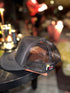 Royal Monty Mesh Trucker Hat - Black